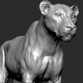3D model Lion (Big Cat) VFX Zbrush Sculpt